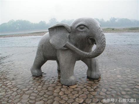 台北仙人掌 大象噴水